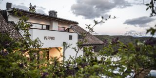 Pippos Mountain Lodge