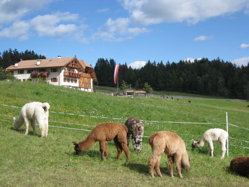 Kaserhof