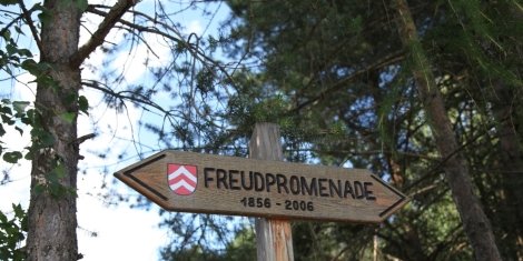 Freud Promenade, wandern, erinnern