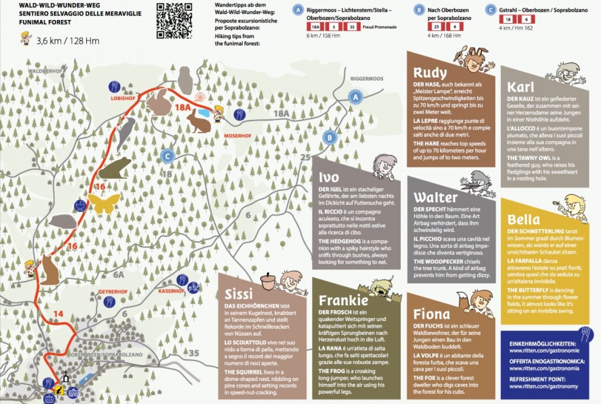 Der Wald-Wild-Wunder-Weg in Oberbozen