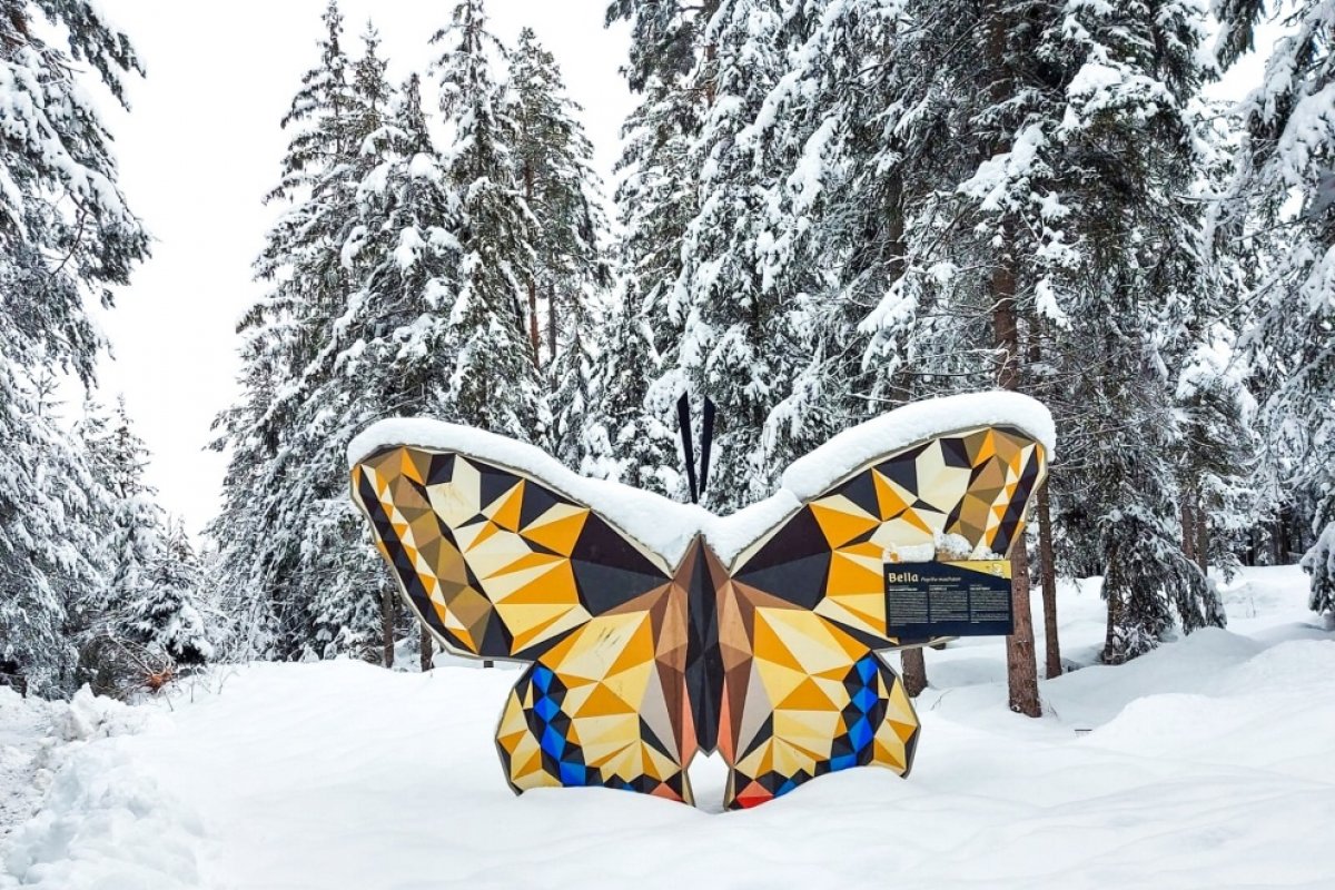 Durch den Winterwald stapfen und Bella besuchen...