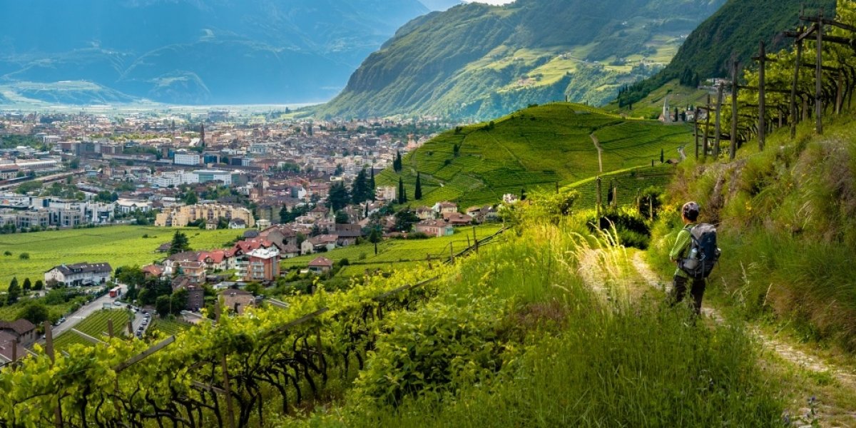 Sul sentiero del vino REBE