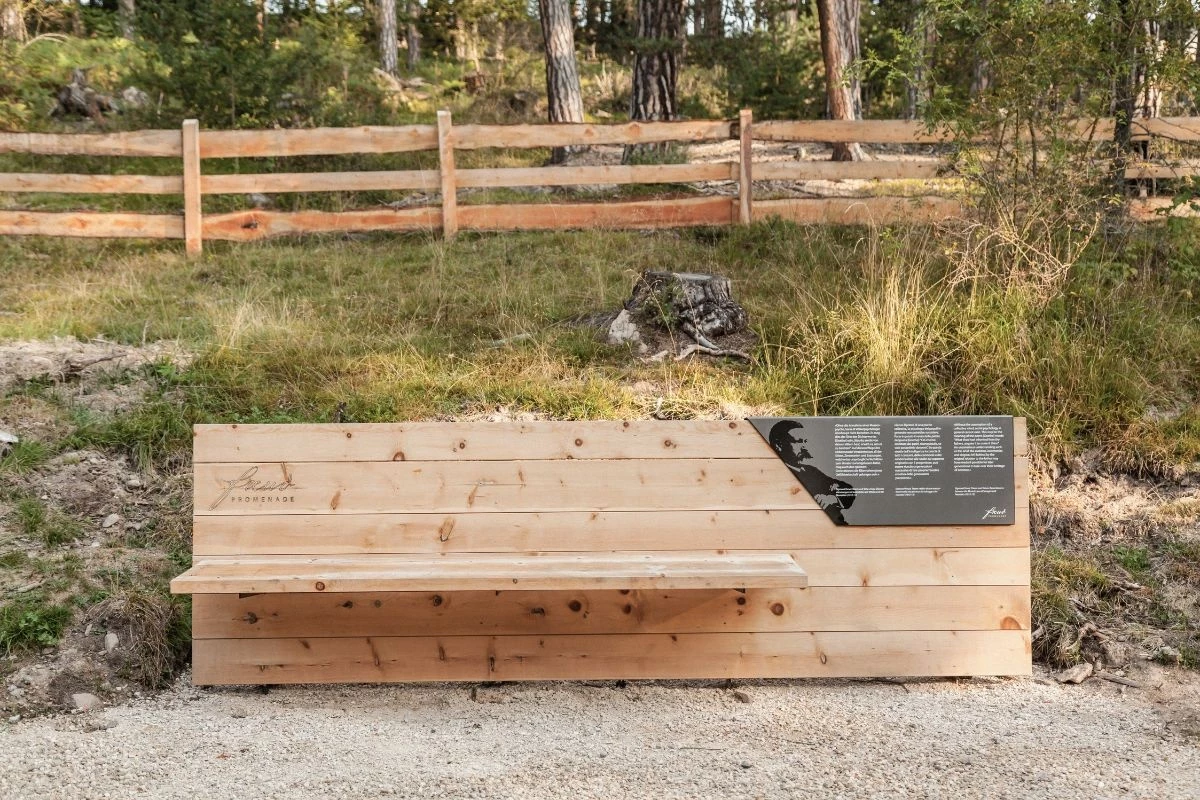 Freud Days on the Ritten