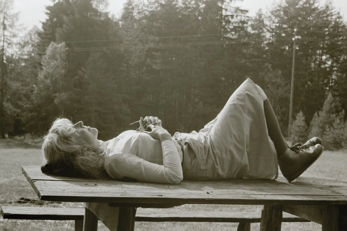 Analogue Photofestival