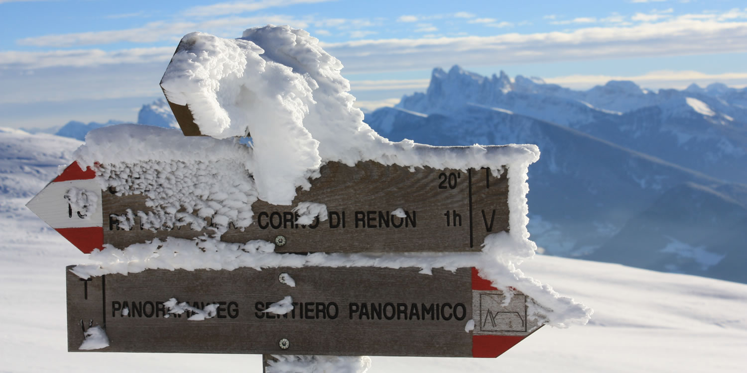 Rittner Horn